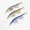 Minnow #905700 - Image 2