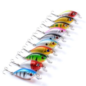 Minnow #HJE017