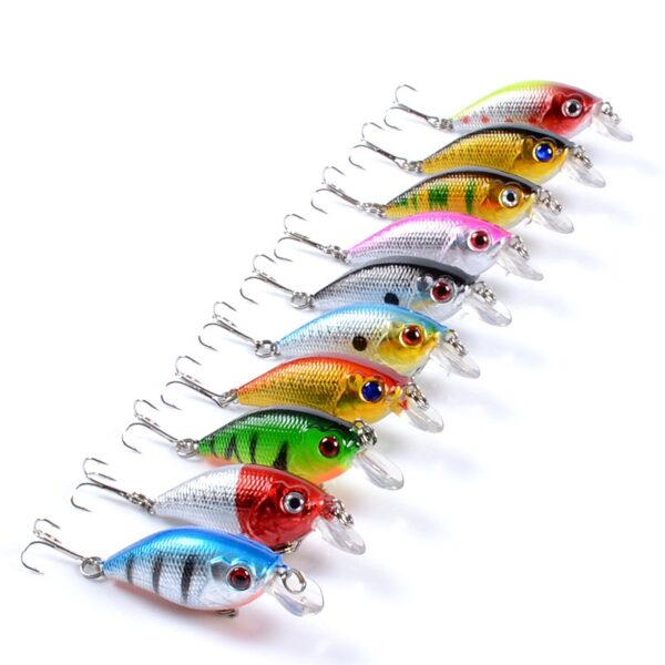 Minnow #HJE017