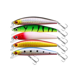 Minnow #HJE025
