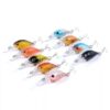 Minnow #HJE029 - Image 2