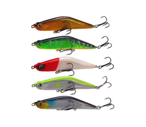 Minnow #HJE016