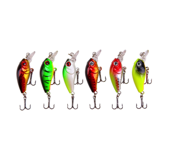 Minnow #HJE026